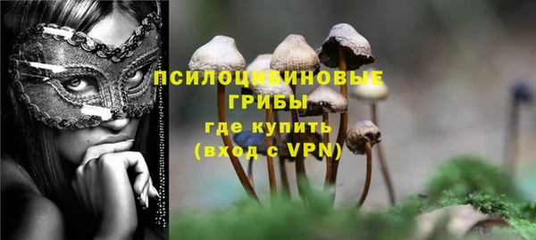 jwh Богородск