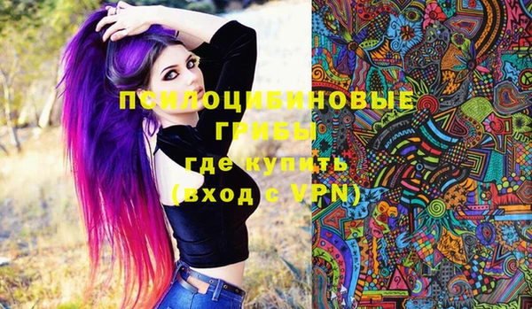 jwh Богородск