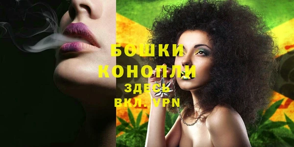 первитин Белокуриха
