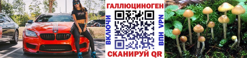 как найти закладки  Верея  Галлюциногенные грибы ЛСД 